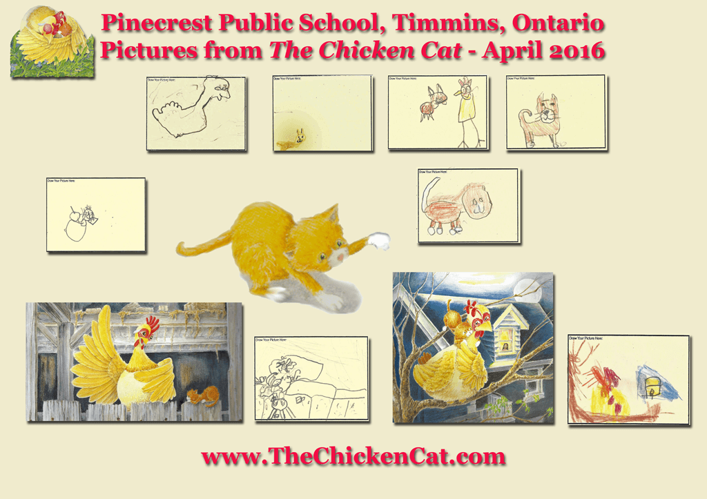 ON-Pinecrest-Ballot-Pictures-The-Chicken-Cat-SFW-comp